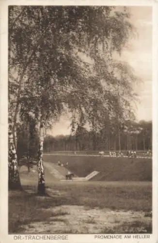 Trachenberge Dresden Promenade am Heller o 1916