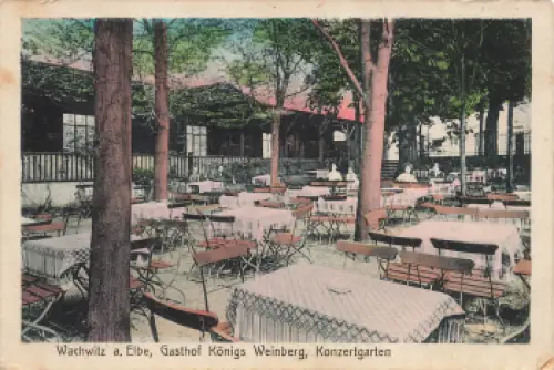 Wachwitz Dresden Gasthof Königs Weinberg Konzertgarten * um 1910