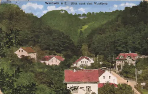 Wachwitz Dresden mit Wachberg o um 1917