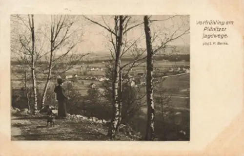 Pillnitz Dresden Jagdwege o1920