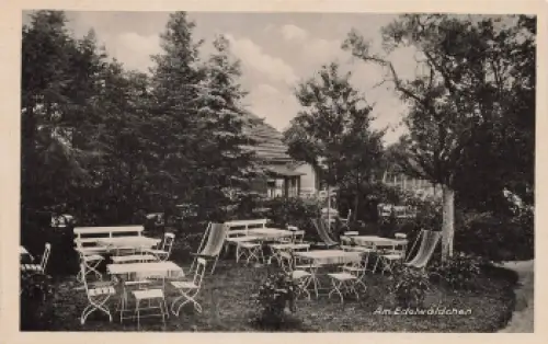 Pillnitz Dresden Cafe Elbblick * um 1920