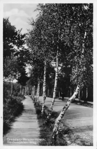 Weisser Hirsch Dresden Heidemühlen Weg o 1936