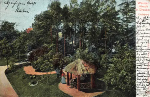 Weisser Hirsch Dresden Waldpark o 1904