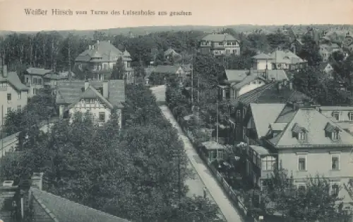 Weisser Hirsch Dresden Bergbahnstrasse * um 1910