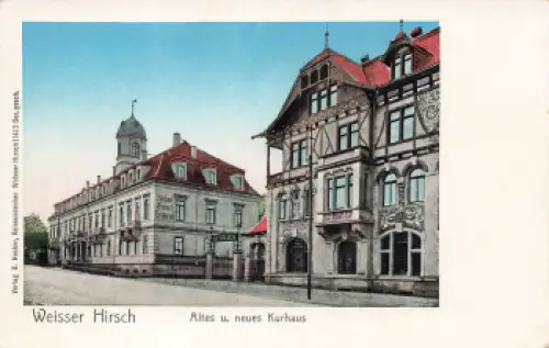 Weisser Hirsch Dresden altes und neues Kurhaus * um 1900
