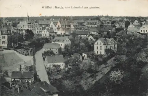 Weisser Hirsch Dresden Plattleite o 1913