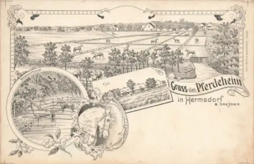 01458 Hermsdorf Ottendorf-Okrilla Pferdeheim Litho * um 1900