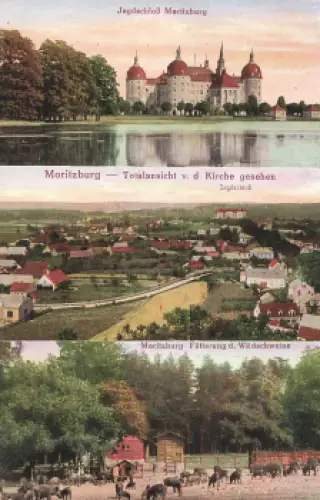 01468 Moritzburg * um 1920