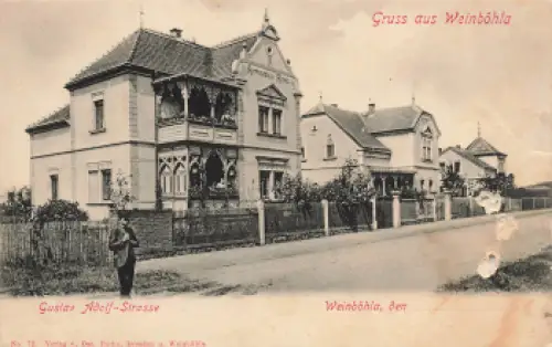 01689 Weinböhla Sachsen Gustav Adolf Strasse um 1900
