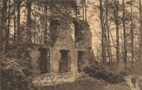 01683 Alt-Zella Nossen Klosterruine * um 1920