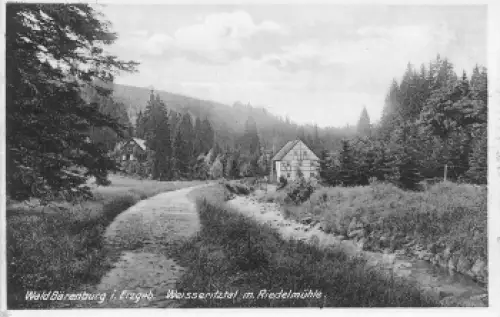 01773 Wald Bärenburg Altenberg Riedelmühle * um 1930