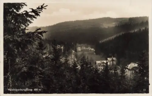 01773 Waldbärenburg Erzgebirge Altenberg o 1933