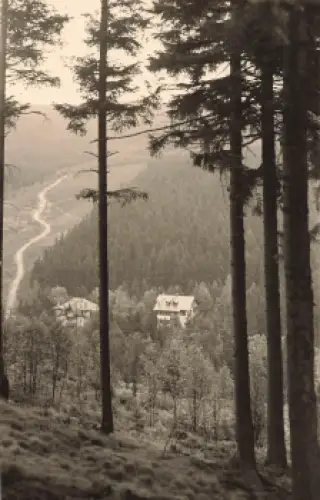 01773 Waldbärenburg Erzgebirge Heuweg Altenberg o 1963