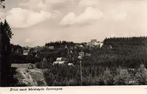 01773 Waldidylle Altenberg Osterzgebirge * 1963