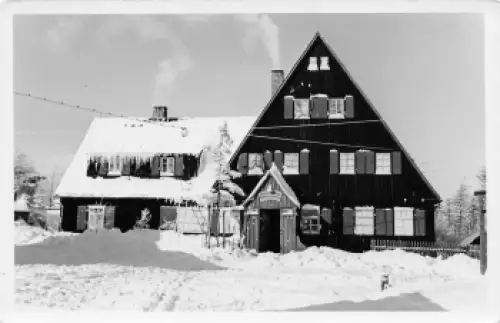 01773 Altenberg Altes Raupennest Druckvorlage 1956 Hanich