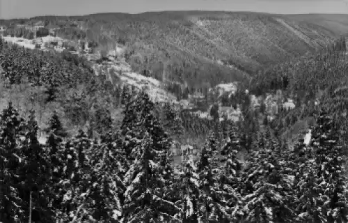 01773 Kipsdorf Altenberg Druckvorlage um 1960 Hanich