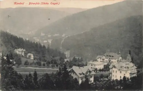 01773 Kipsdorf Bärenfels Erzgebirge o um 1910