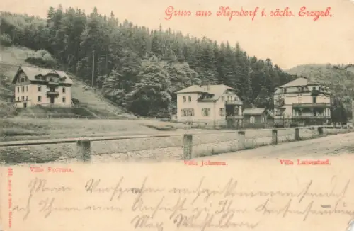 01773 Kipsdorf Villa "Fortuna" Villa "Johanna" Villa "Luisenbad" o 1901
