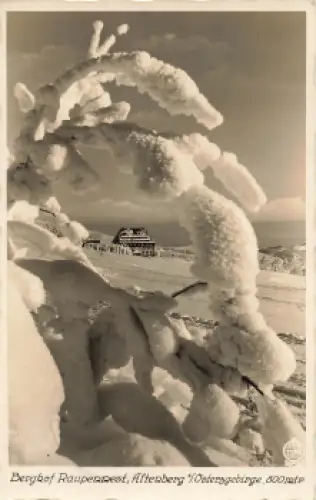 01773 Altenberg Erzgebirge Berghof Raupennest o 1936 Hahn-Foto11940