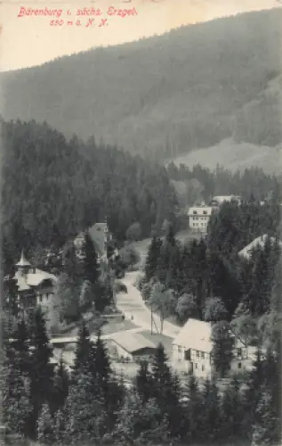 01773 Bärenburg Erzgebirge Talblick o 1914