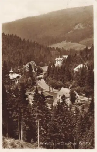 01773 Bärenburg Erzgebirge Talblick o 1928