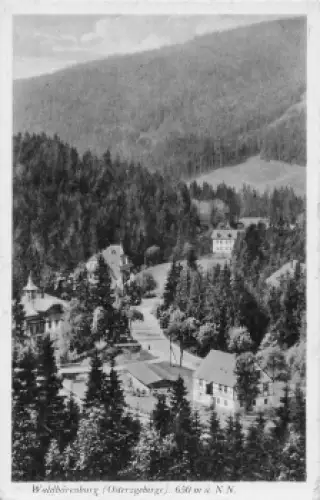 01773 Waldbärenburg Erzgebirge * um 1940