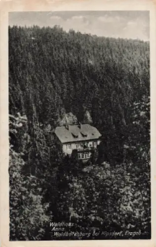 01773 Waldbärenburg Erzgebirge Waldhaus Anna gebraucht 1953
