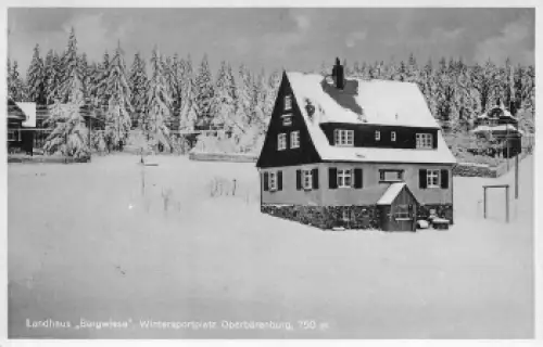 01773 Oberbärenburg Erzgebirge Landhaus Bergwiese gebraucht 1935