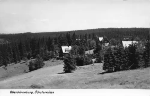 01773 Oberbärenburg Erzgebirge Försterwiese o 1963