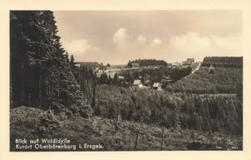 01773 Oberbärenburg Erzgebirge Waldidylle gebraucht um 1940