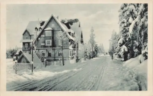 01773 Oberbärenburg Erzgebirge Dolzes Berghotel Friedrichshöhe o 1917