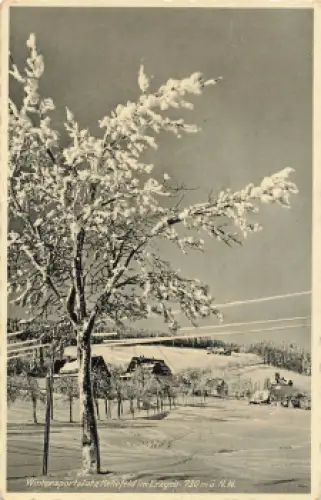 01773 Rehefeld Erzgebirge Wintersportplatz o 1940