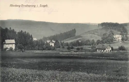 01773 Hirschsprung Erzgebirge o 1912