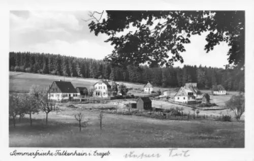 01776 Falkenhain Erzgebirge gebraucht 1953