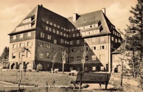 01773 Altenberg Erzgebirge Raupennest * 1963