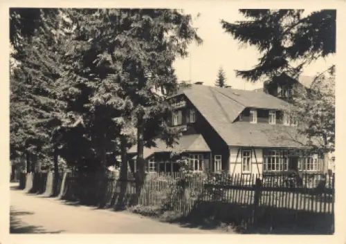 01773 Waldidylle Altenberg Erzgebirge Gaststätte * 1954