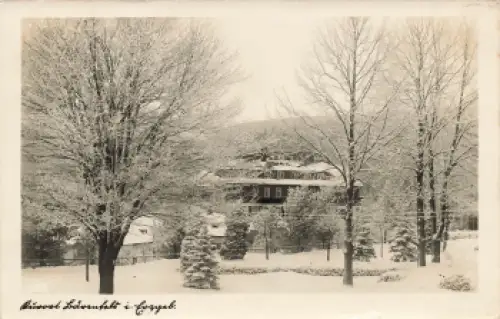 01773 Bärenfels Erzgebirge o 1952