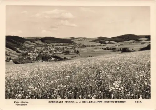 01778 Geising Erzgebirge mit Kohlhaukuppe * 1959