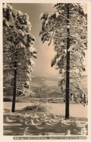 01778 Geising Erzgebirge vom Geisingberg Hahn-Foto6802 o 1931