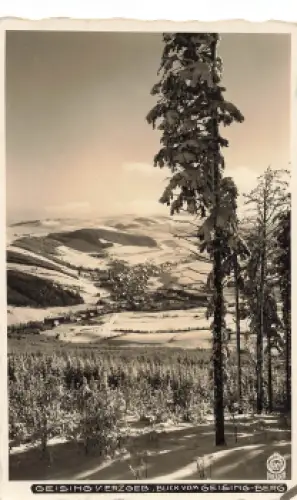 01778 Geising Erzgebirge vom Geisingberg Hahn-Foto6801 * um 1930
