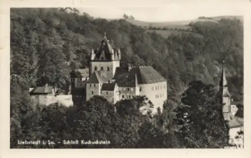 01825 Liebstadt Schloß Kuckuckstein o um 1955