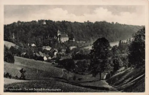 01825 Liebstadt Sachsen mit Schloß Kuckuckstein * um 1950