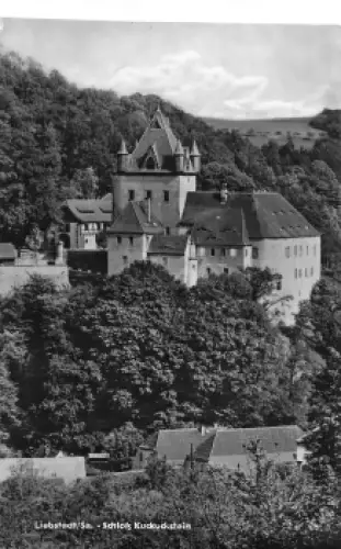 01825 Liebstadt Schloß Kuckuckstein * 1965