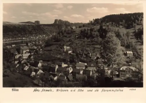 01814 Krippen Sächsische Schweiz * 1964 Hahn-Foto11452