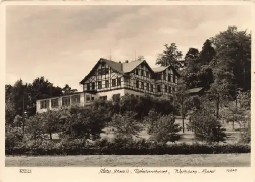 01814 Reinhardtsdorf Hotel Wolfsberg Hahn-Foto13265 o 1966