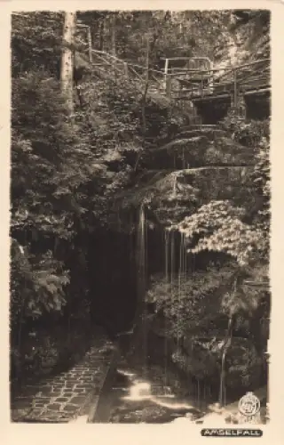 01848 Hohnstein Amselfall Hahn-Foto2906 * um 1930