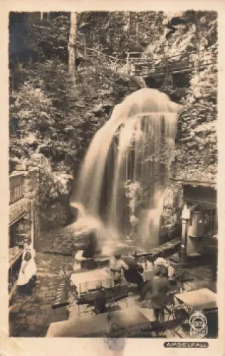 01848 Hohnstein Amselfall Hahn-Foto2905 o 1925