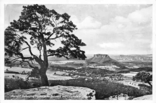 01824 Gohrisch mit Lilienstein Sächsische Schweiz * um 1940