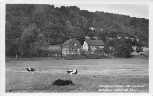 01824 Halbestadt Königstein Gehörlosenwanderheim Sächsische Schweiz * um 1952