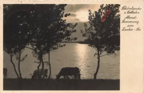 Schönlanke Ostbahn Zasker See Trzcianka Landpoststempel o 1937